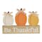9.5" Be Thankful Tabletop Décor by Ashland®